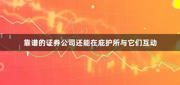 靠谱的证券公司还能在庇护所与它们互动
