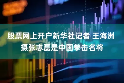 股票网上开户新华社记者 王海洲 摄张志磊是中国拳击名将