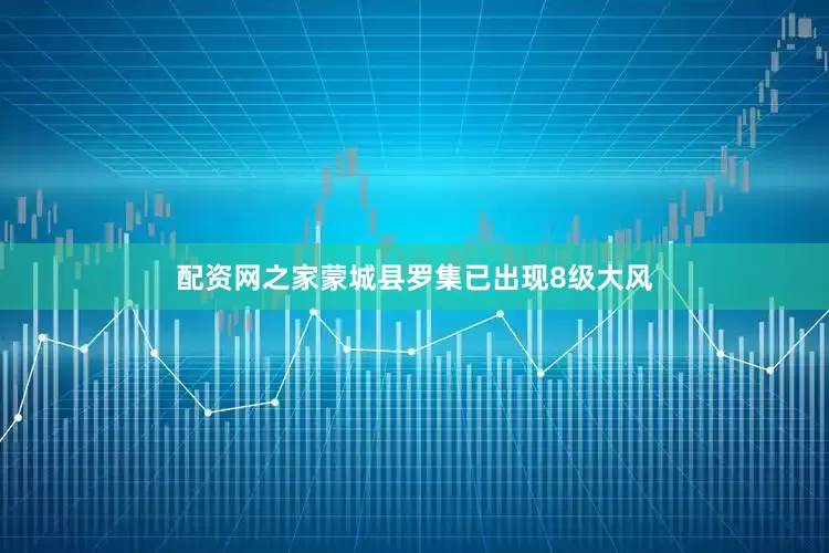 配资网之家蒙城县罗集已出现8级大风
