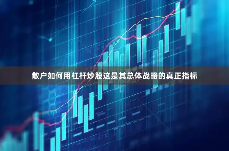 散户如何用杠杆炒股这是其总体战略的真正指标
